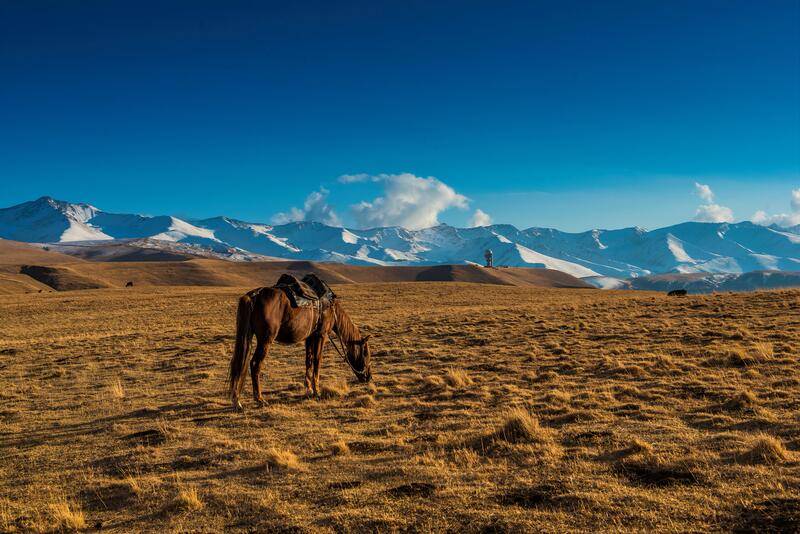GotoAlmaty: Discover Almaty Like a Local
