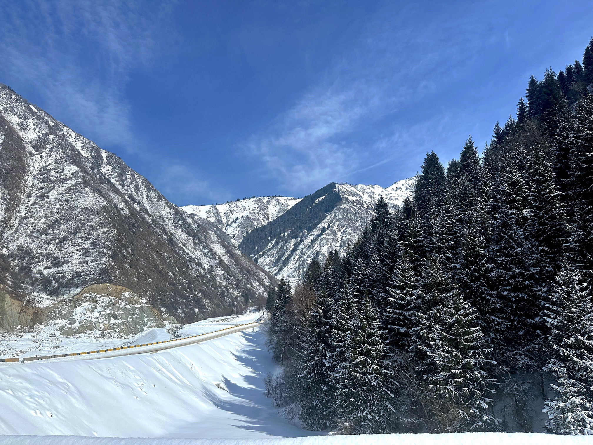 A Trip to Ayusai: Nature, Adventure, and Kazakh Cuisine