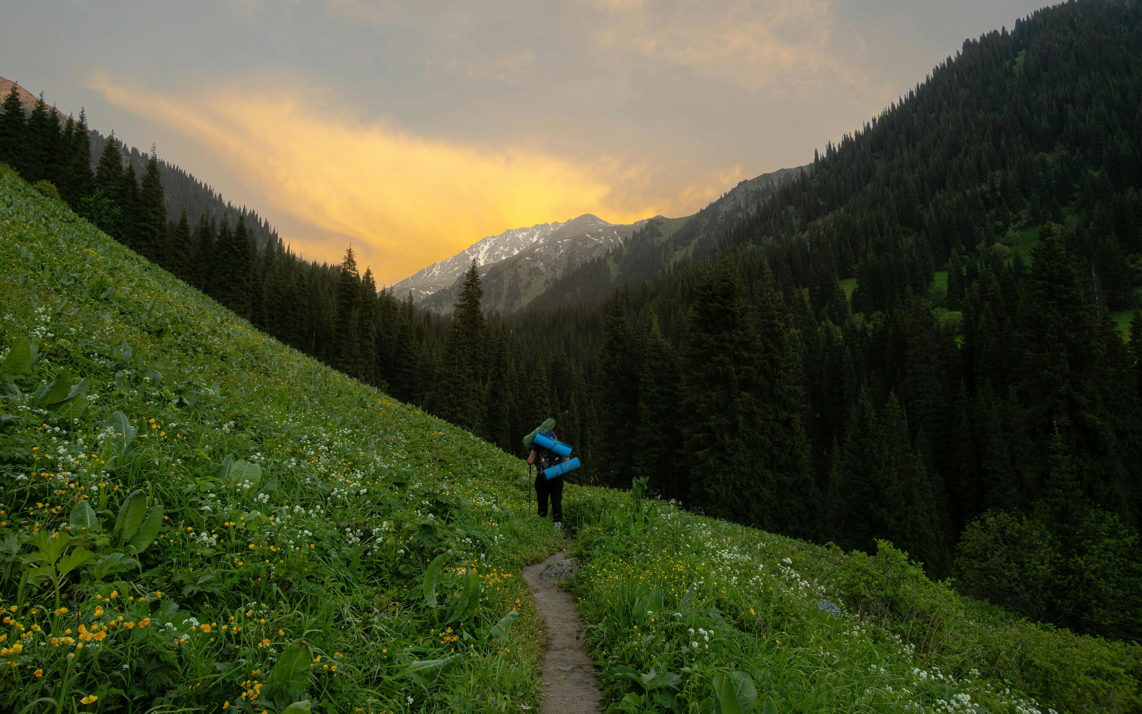 Before You Go: 10 Fun & Essential Travel Tips for Almaty